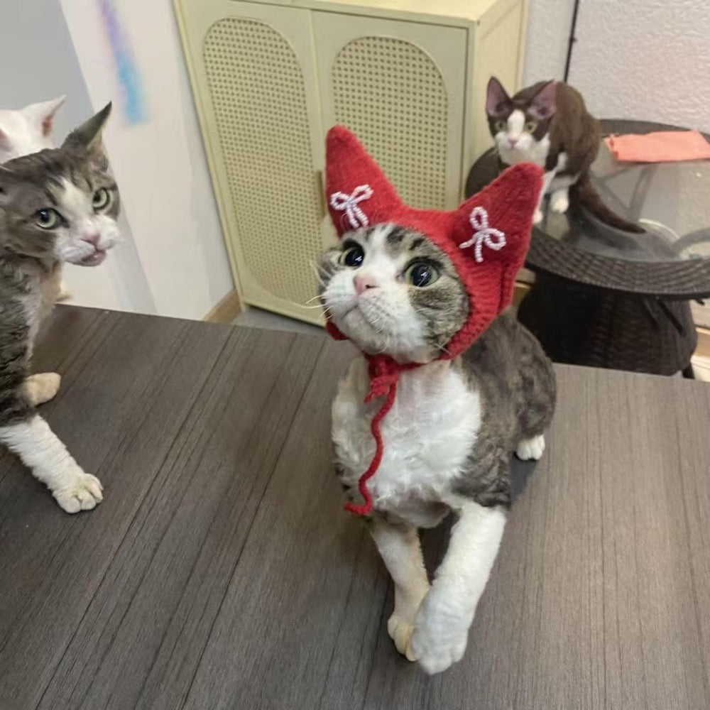 Hand Knitted Red Cat Hat with White Bows | Pet Photo Prop Costume