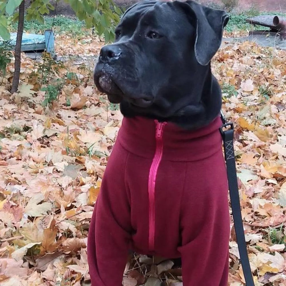 Fleece Dog Sweatshirt: Soft, Warm, Adjustable Fit