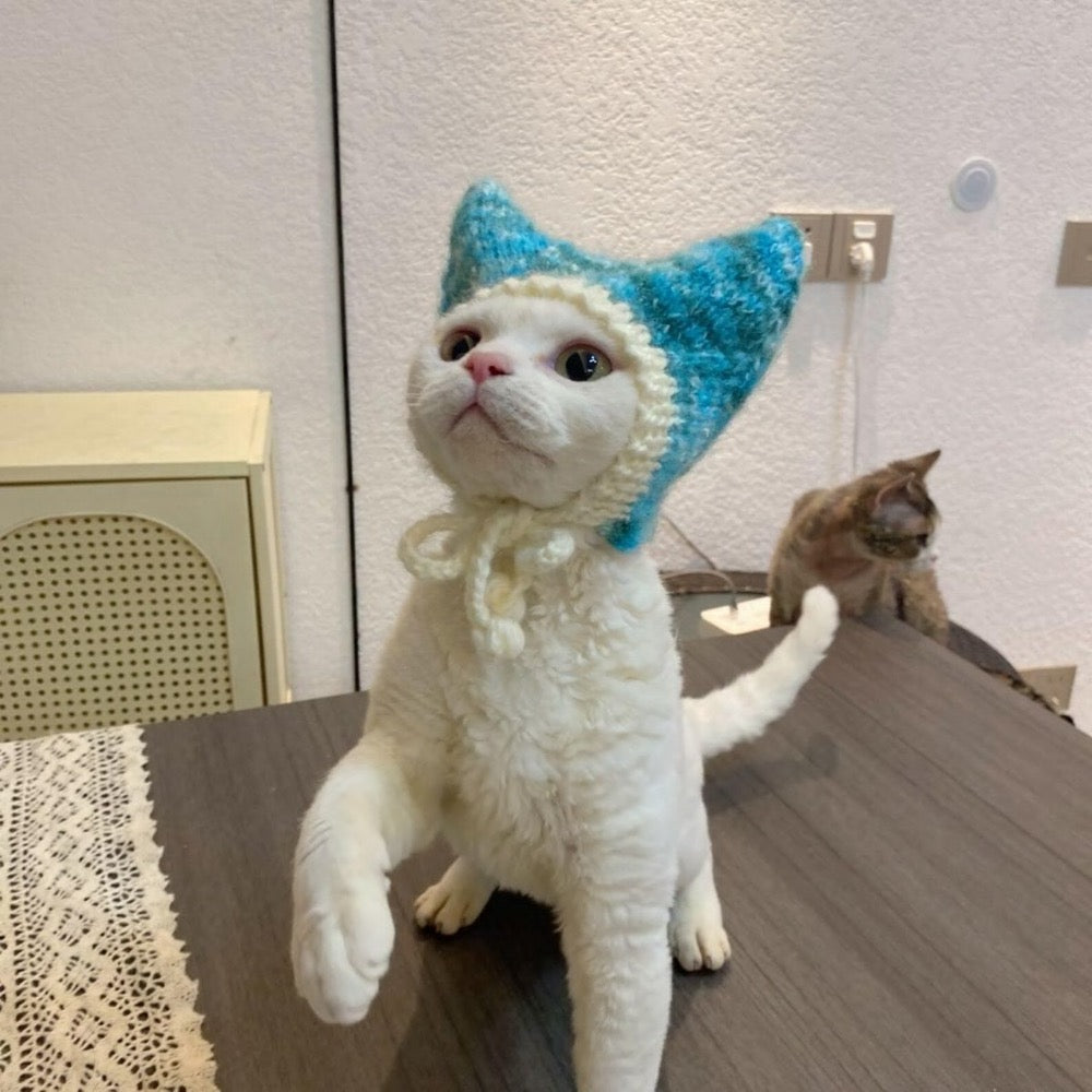 Hand Knitted Cat Ear Hat – Blue White Kitty Bonnet, Pet Photography Prop