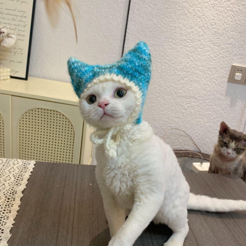 Hand Knitted Cat Ear Hat – Blue White Kitty Bonnet, Pet Photography Prop