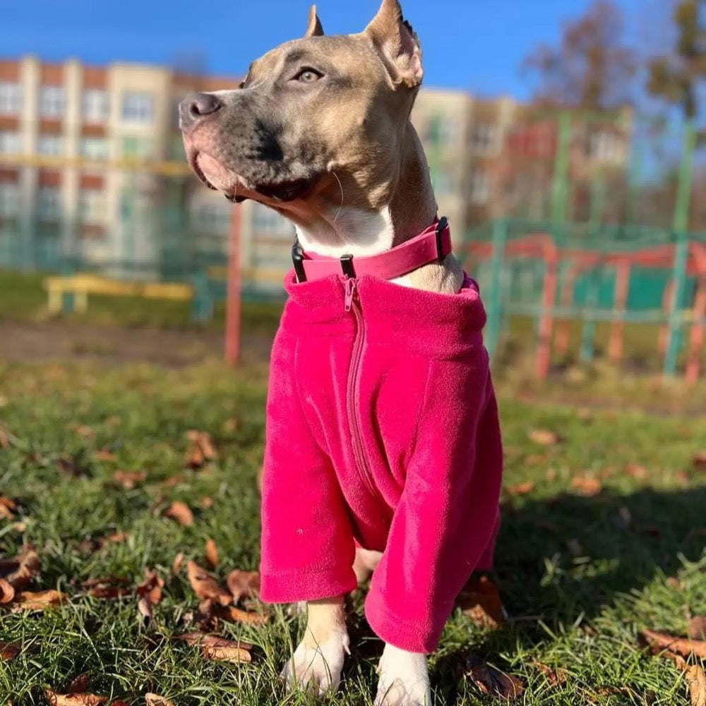 Fleece Dog Sweatshirt: Soft, Warm, Adjustable Fit