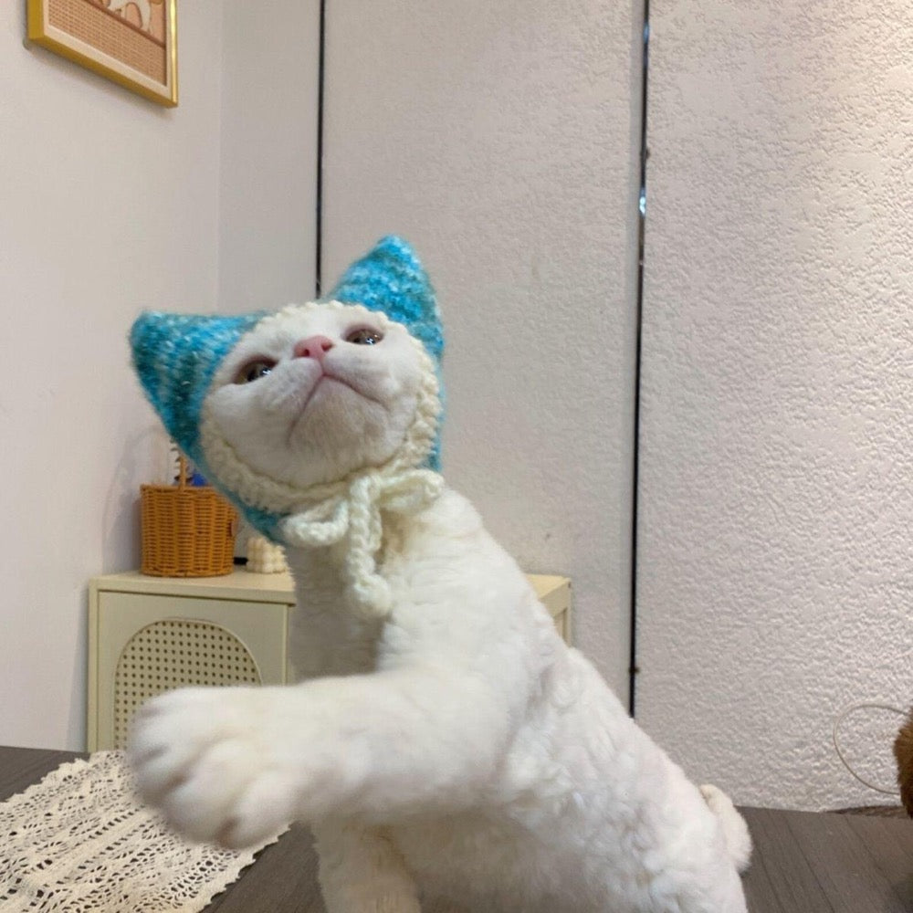 Hand Knitted Cat Ear Hat – Blue White Kitty Bonnet, Pet Photography Prop