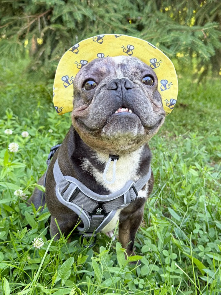 Yellow Bee Dog Bucket Hat with Chin Strap, French Bulldog Sun Cap, Small Puppy Beach Accessory