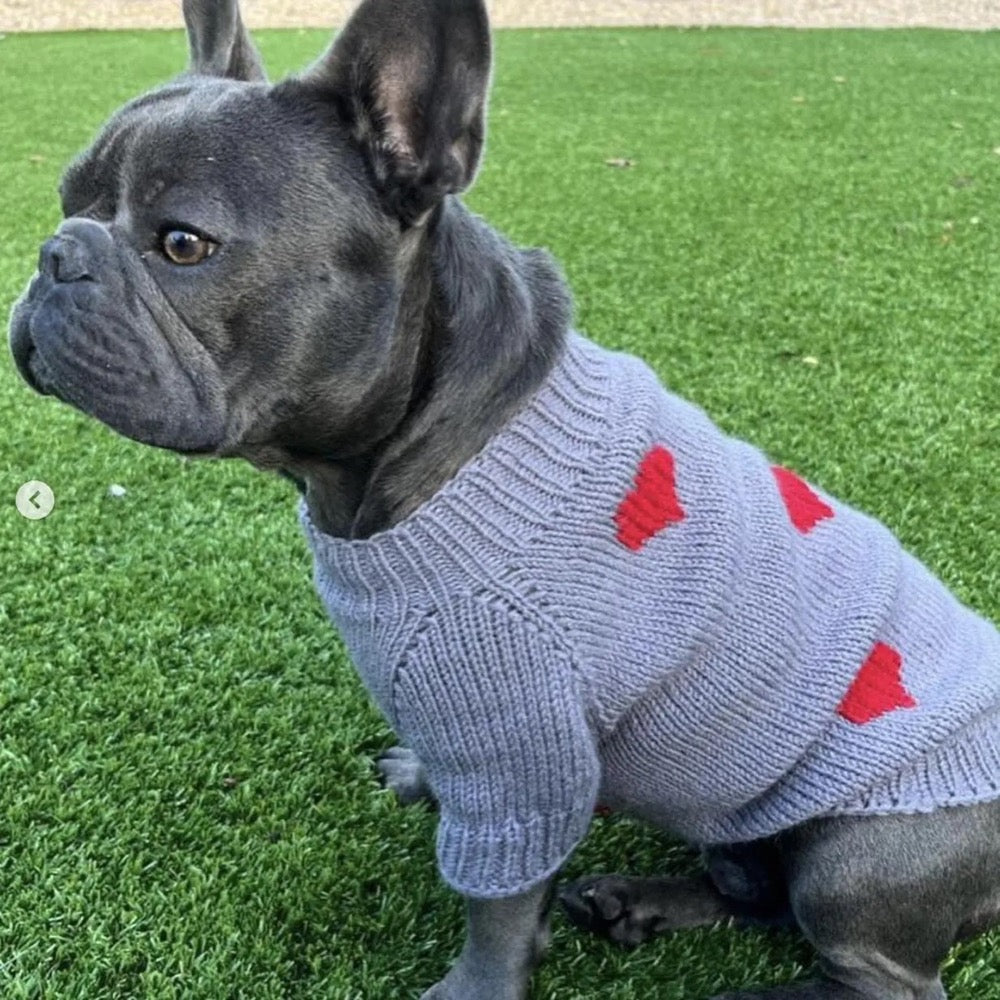 Grey Hand-made Knitted Dog Sweater "Fall in Love"