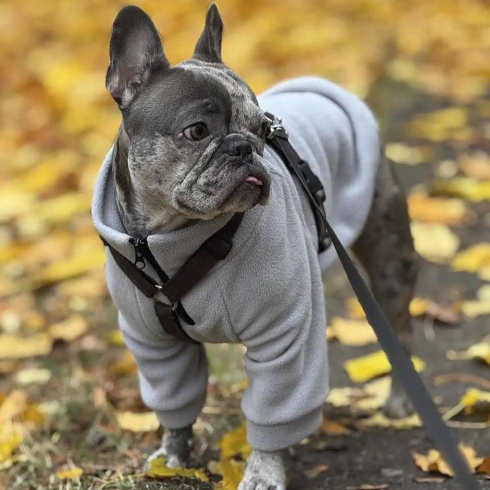 Fleece Dog Sweatshirt: Soft, Warm, Adjustable Fit