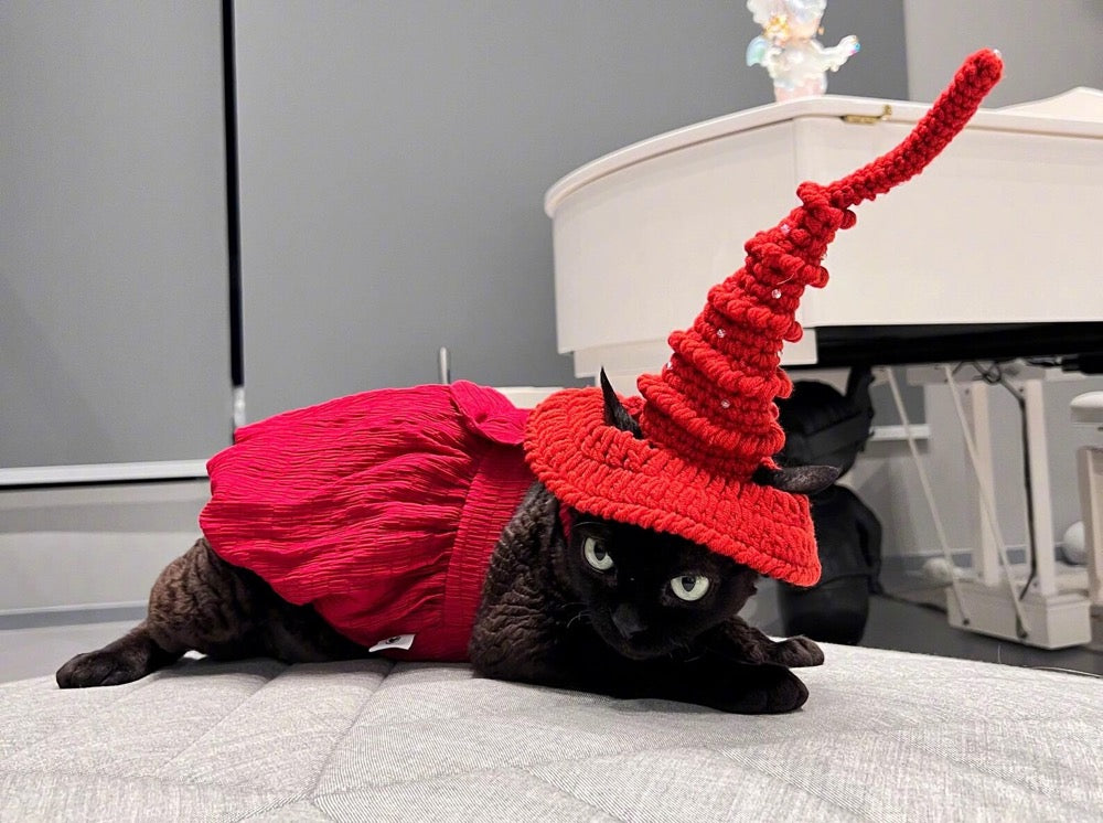 Hand Knit Cat Wizard Hat, Pet Witch Costume, 9 Colors, Photo Prop