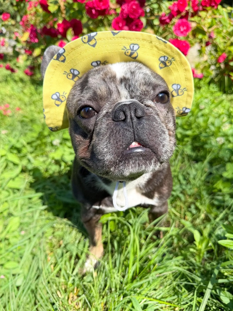 Yellow Bee Dog Bucket Hat with Chin Strap, French Bulldog Sun Cap, Small Puppy Beach Accessory