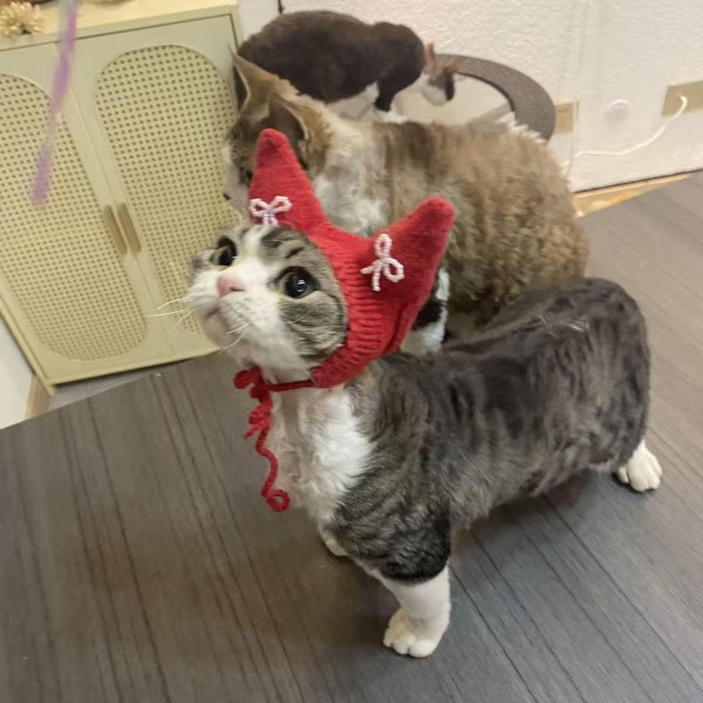 Hand Knitted Red Cat Hat with White Bows | Pet Photo Prop Costume